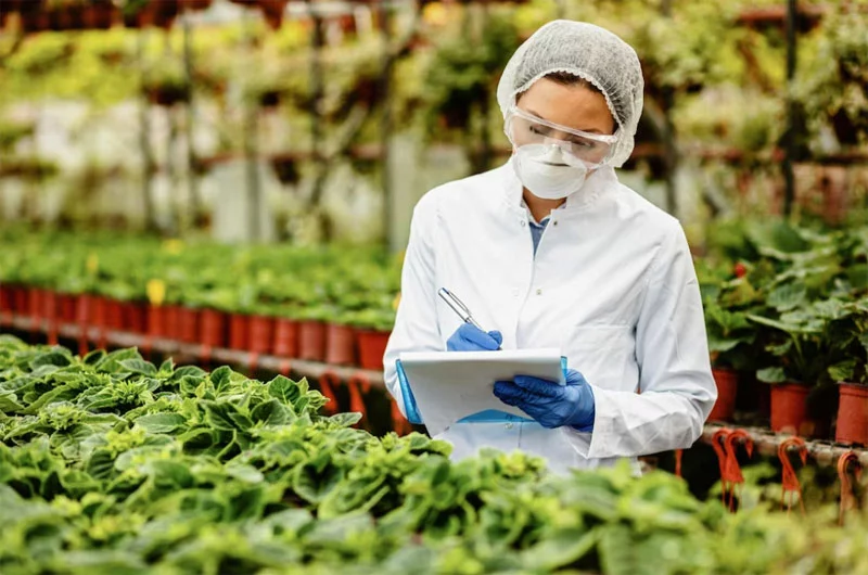 ISO 22000 Belgesi